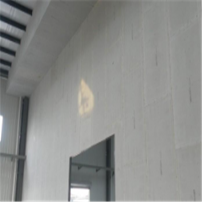 宁波宁波ALC板|EPS加气板隔墙与混凝土整浇联接的实验研讨